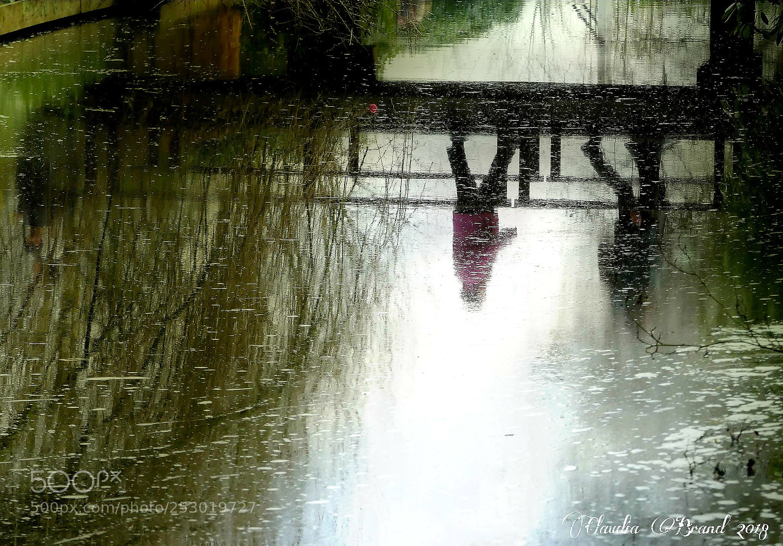 Panasonic Lumix DMC-FZ300 sample photo. Picsart photography