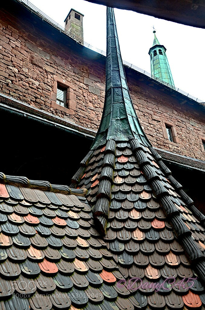 Nikon D5100 sample photo. Alsace (37) photography