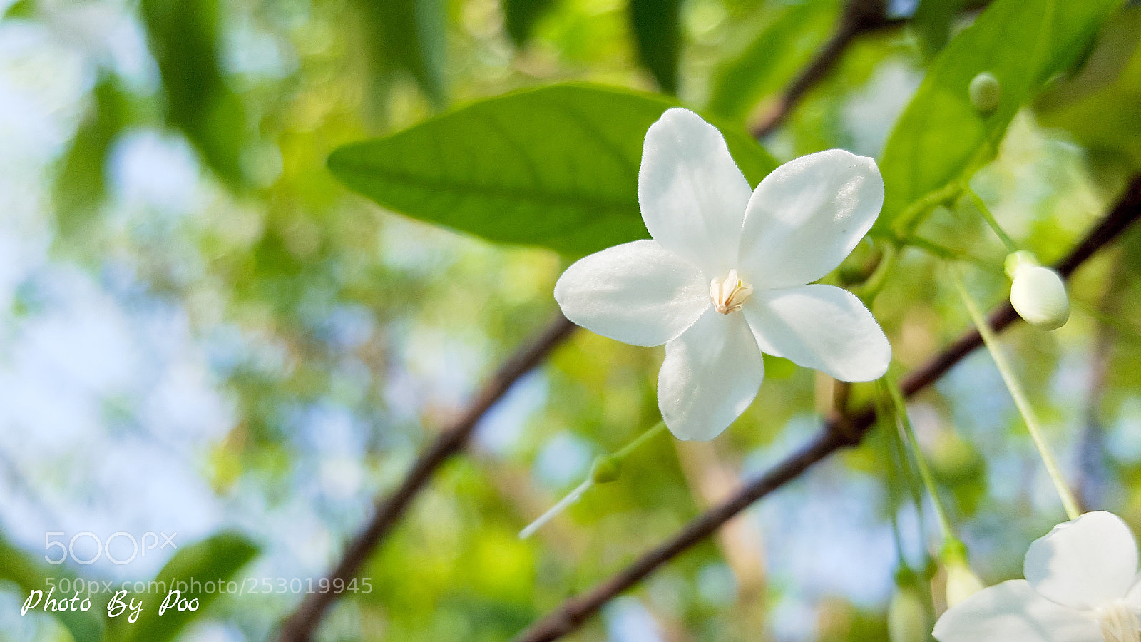Samsung Galaxy S6 sample photo. Untitled photography