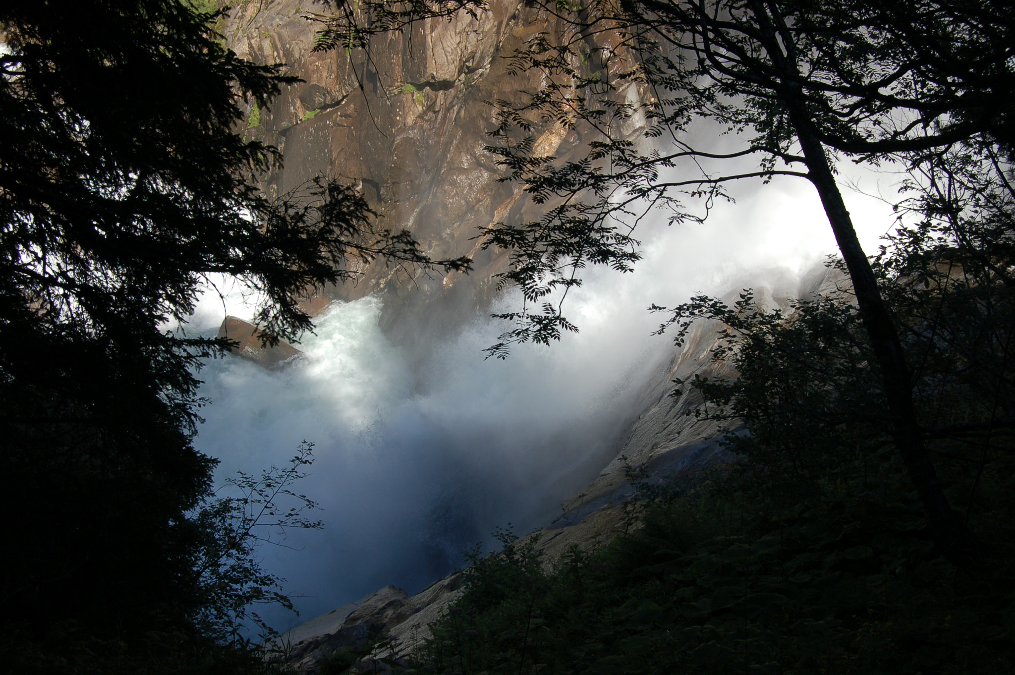 Nikon D50 sample photo. Power of nature photography