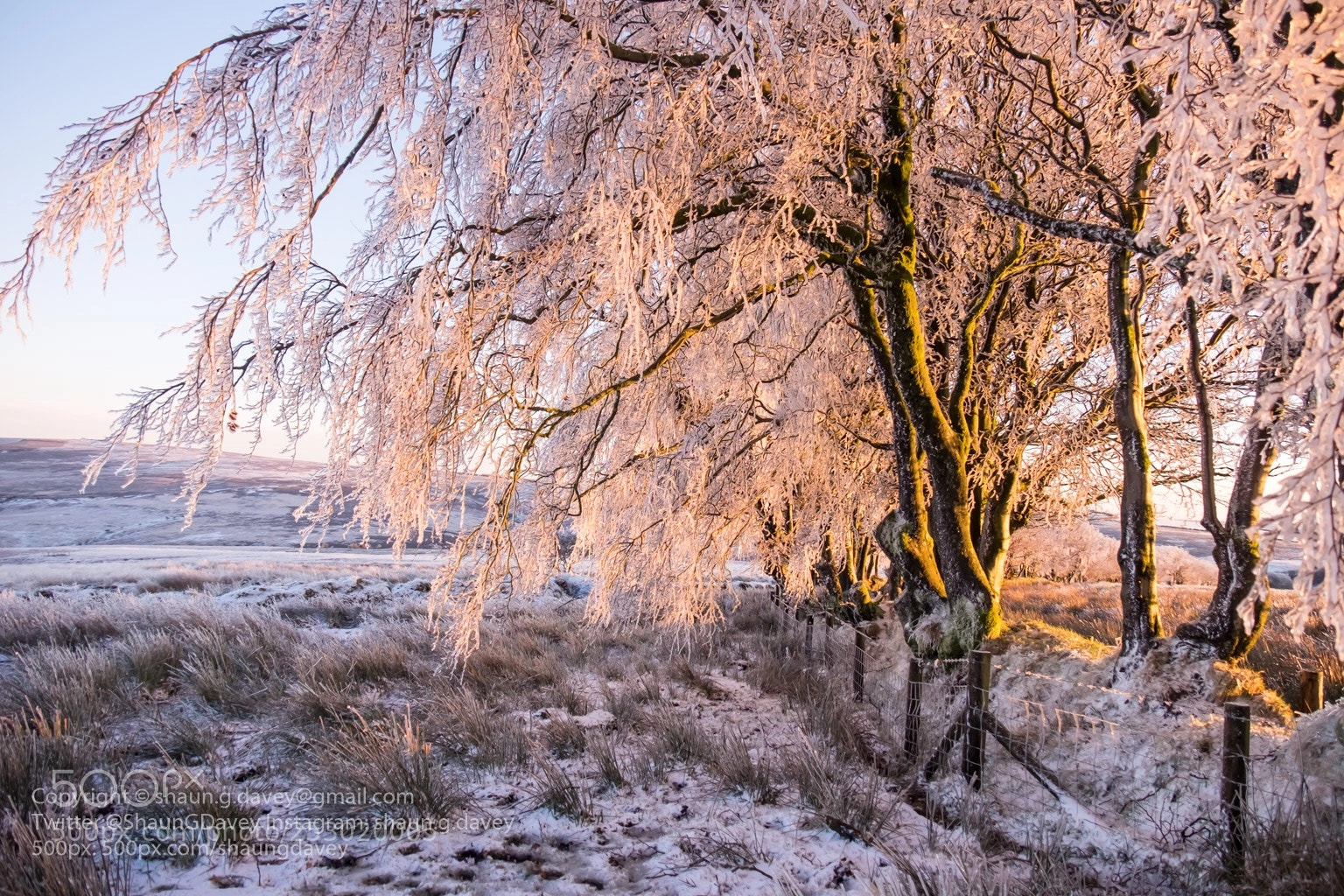 Fujifilm X-T1 sample photo. Ice encrusted trees in photography