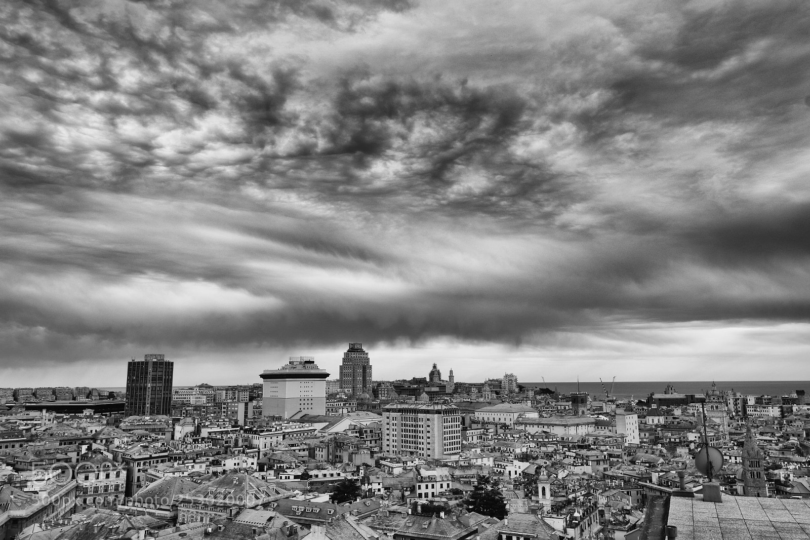 Canon EOS 100D (EOS Rebel SL1 / EOS Kiss X7) sample photo. Genoa's hug photography