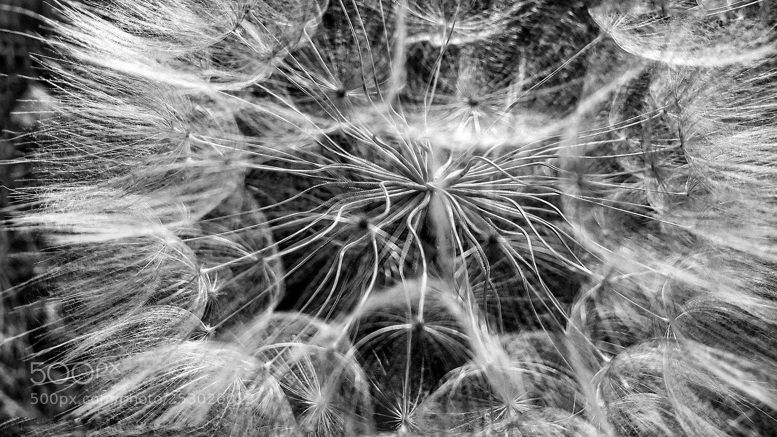 Samsung Galaxy Note4 sample photo. Untitled photography
