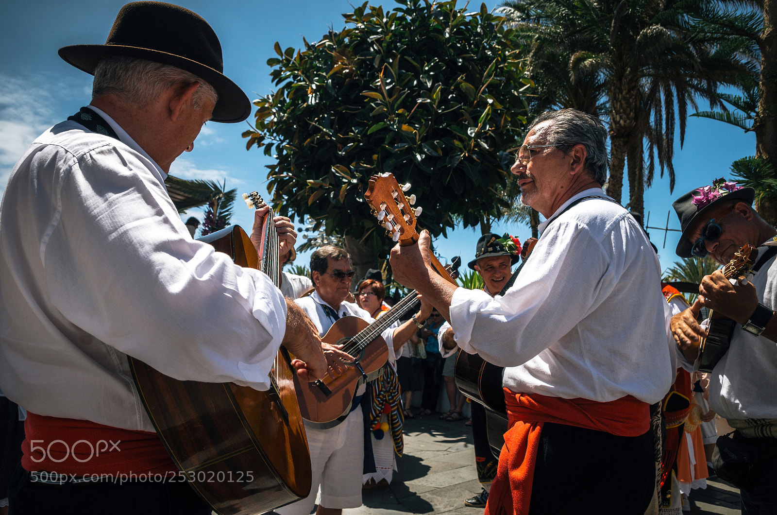 Nikon D7000 sample photo. Local residents of tenerife photography