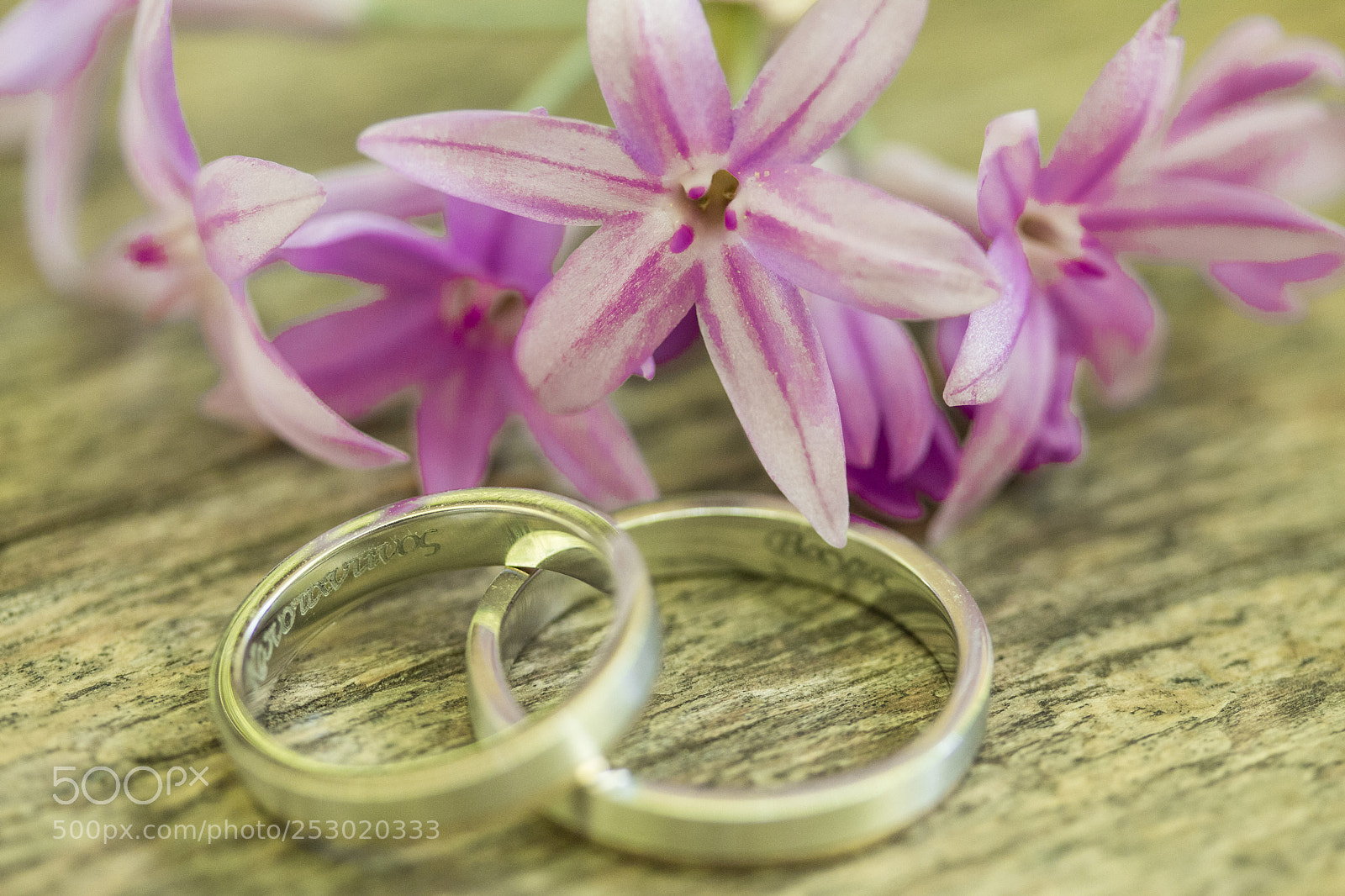 Canon EOS 650D (EOS Rebel T4i / EOS Kiss X6i) sample photo. Love colours photography