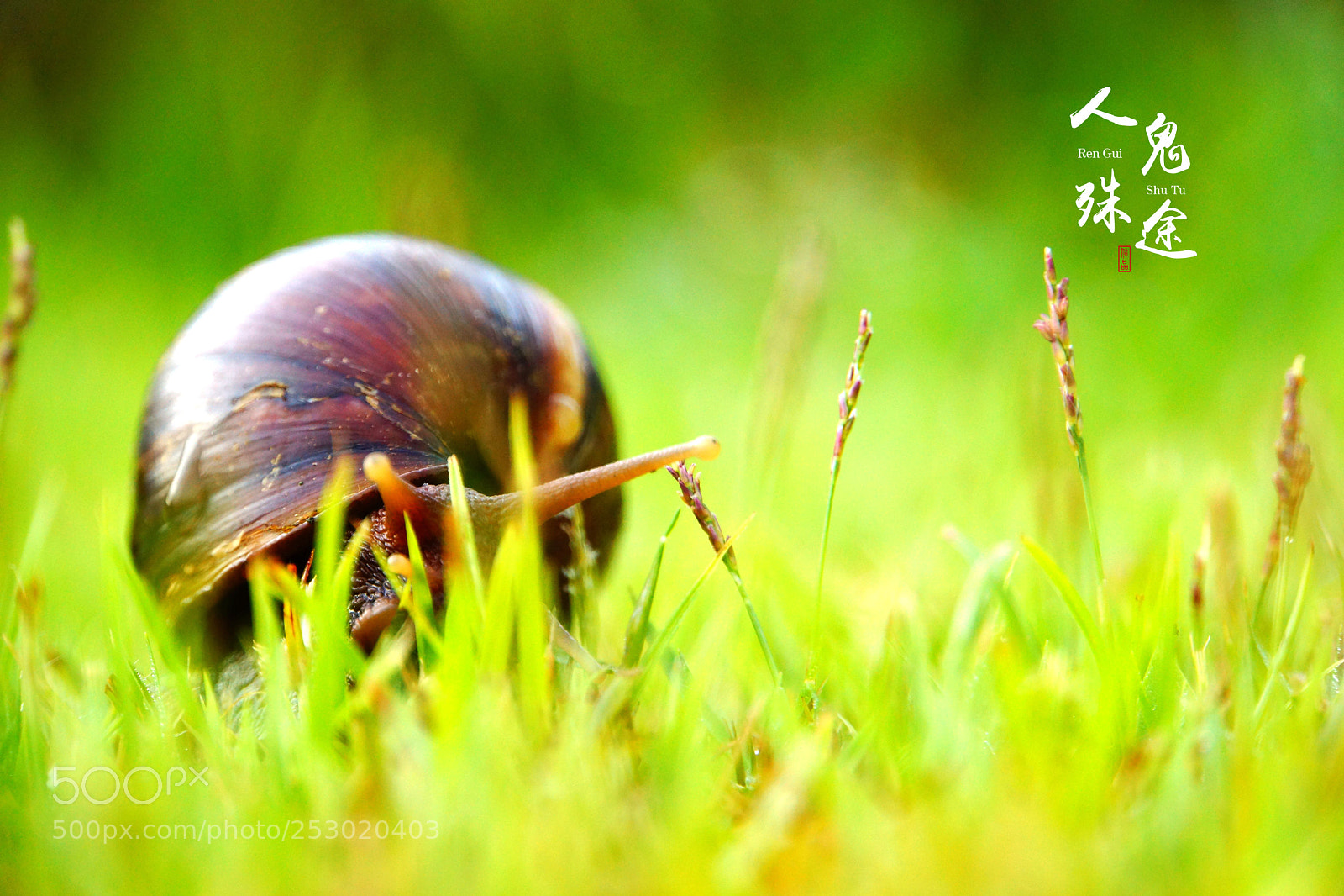 Sony Alpha NEX-7 sample photo. Untitled photography