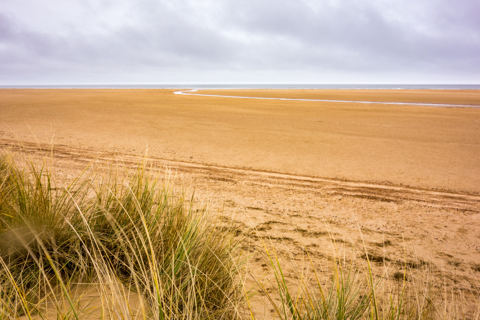 Hasselblad Stellar sample photo. Sandy beach photography