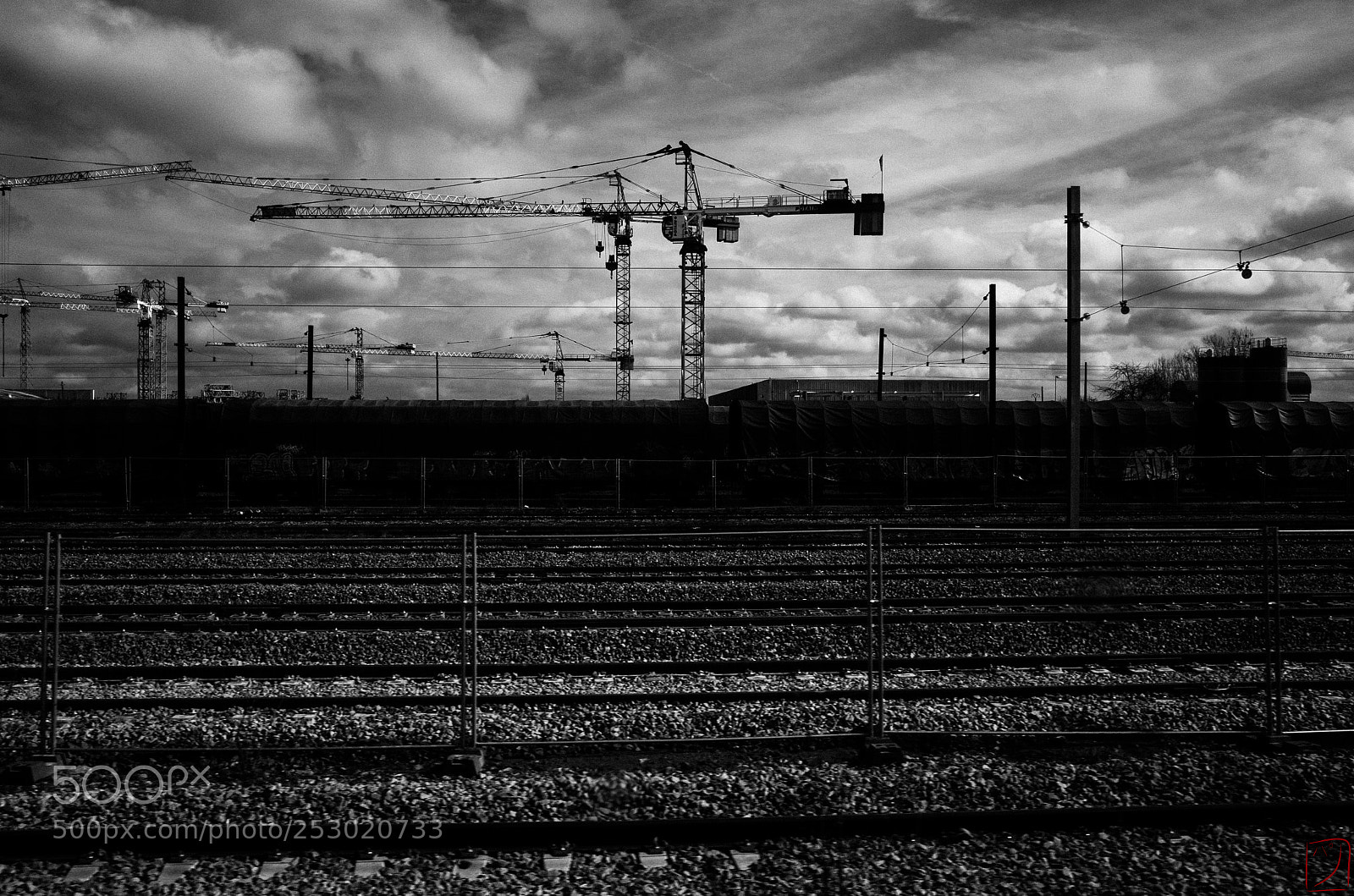 Ricoh GR II sample photo. Grues photography