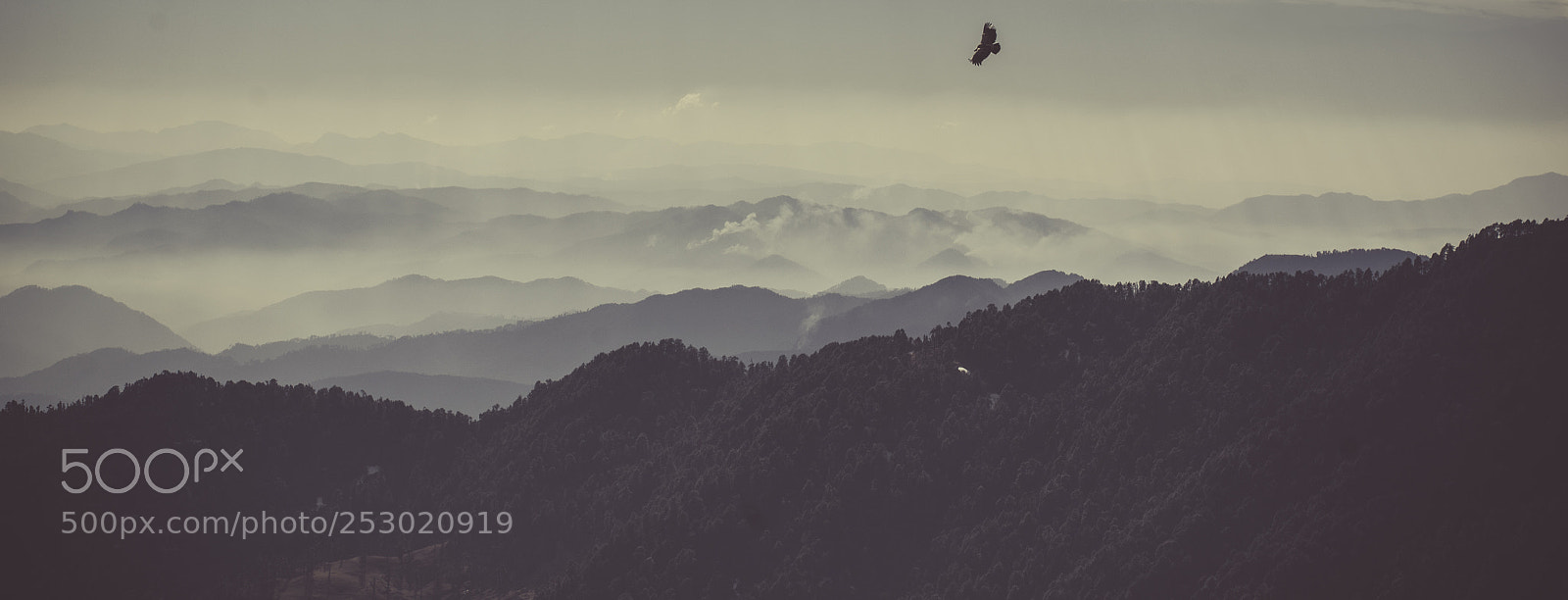 Nikon D3100 sample photo. Indian mountain photography