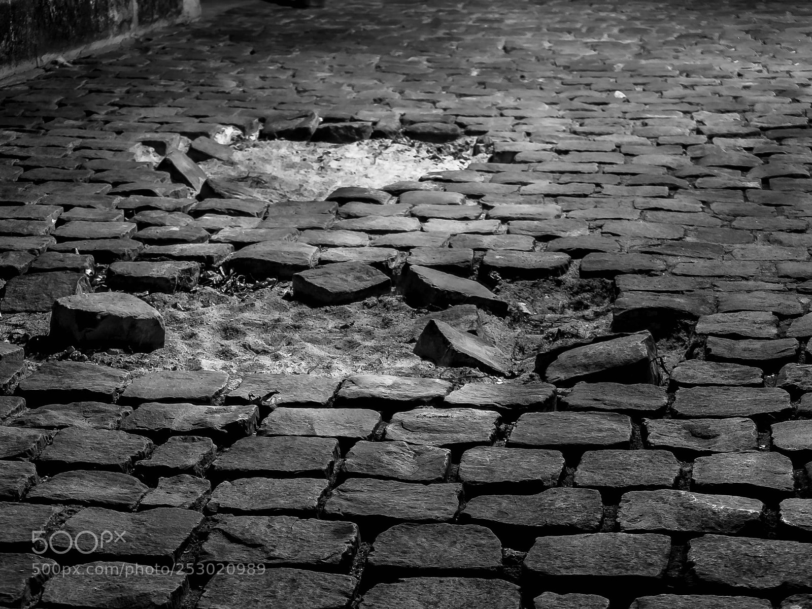 Nikon D60 sample photo. Untitled photography