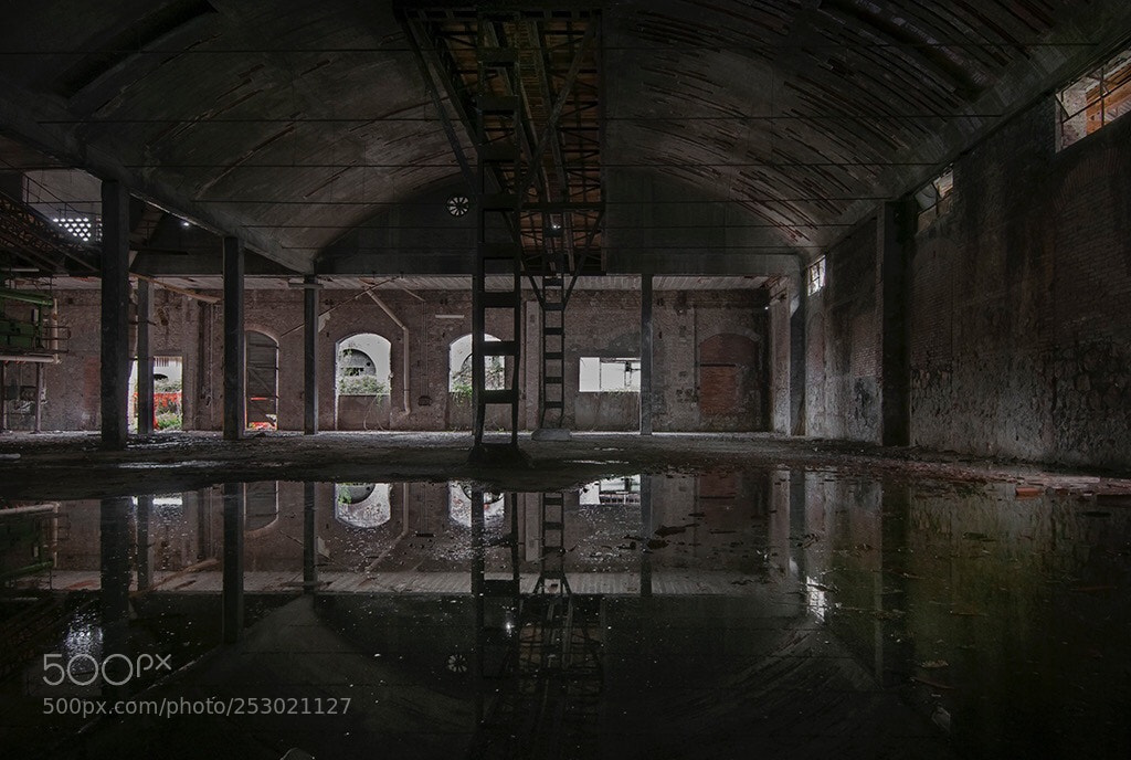 Nikon D300S sample photo. Gloomy reflection photography