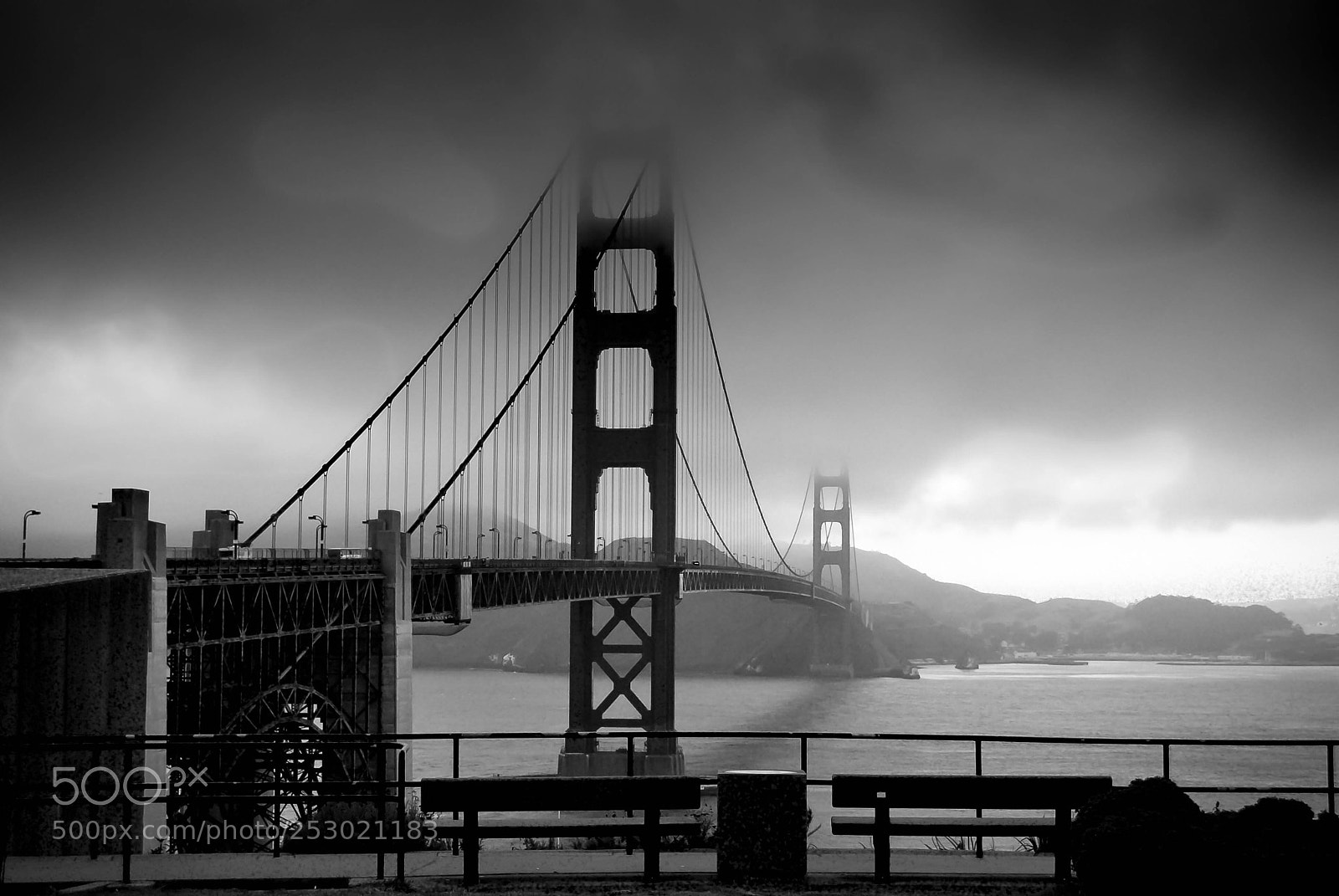 Nikon D60 sample photo. Untitled photography