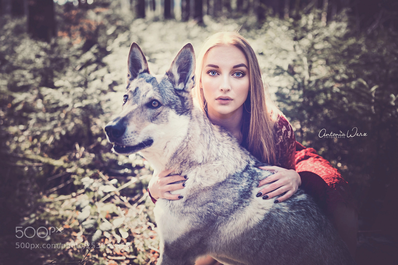 Sony a7R II sample photo. Wolfshund yuma & anna photography