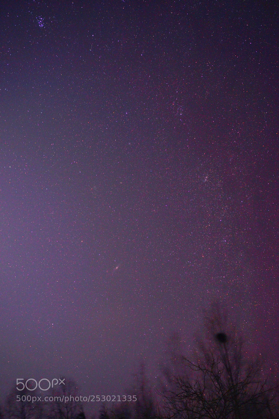 Sony a7 sample photo. Starry & nest photography