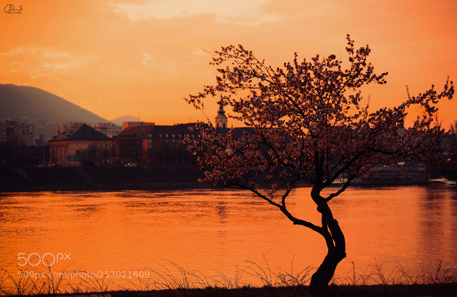 Canon EOS 70D sample photo. Orange city photography