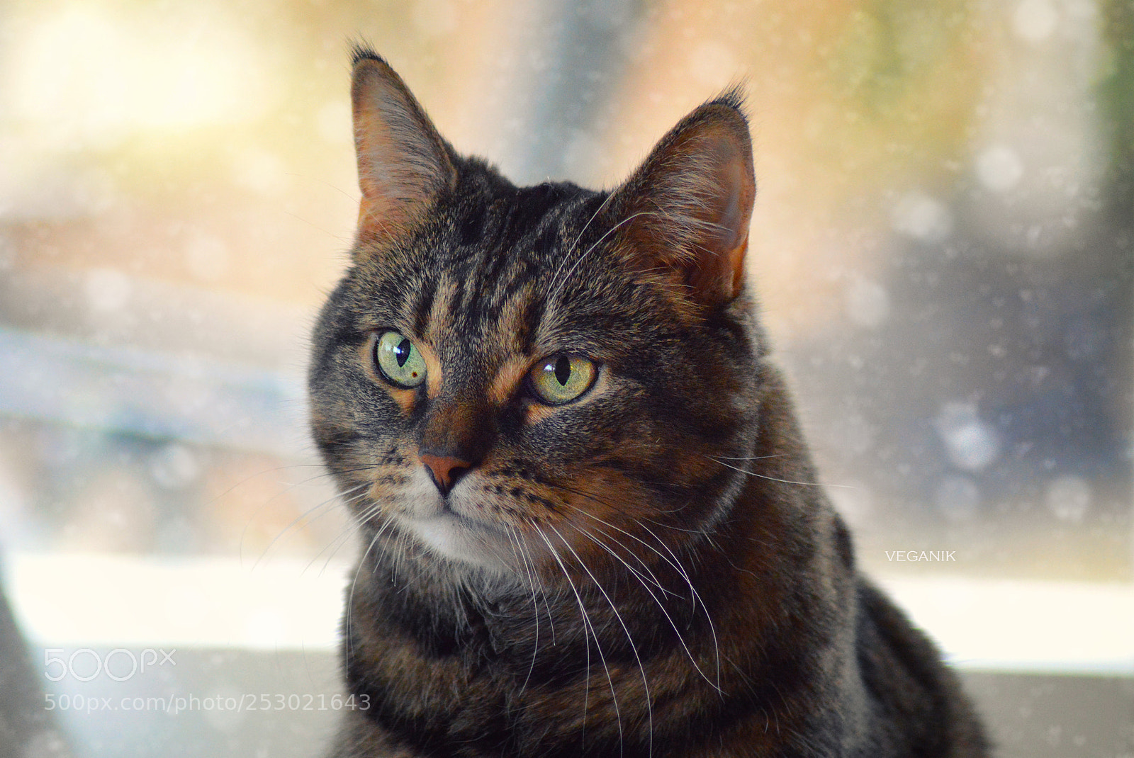 Nikon D3200 sample photo. Sini photography