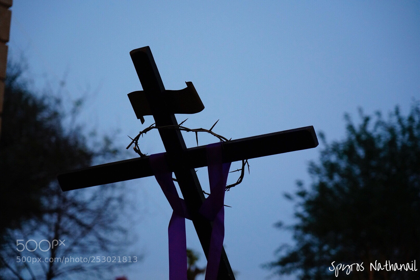 Sony a7R III sample photo. Untitled photography