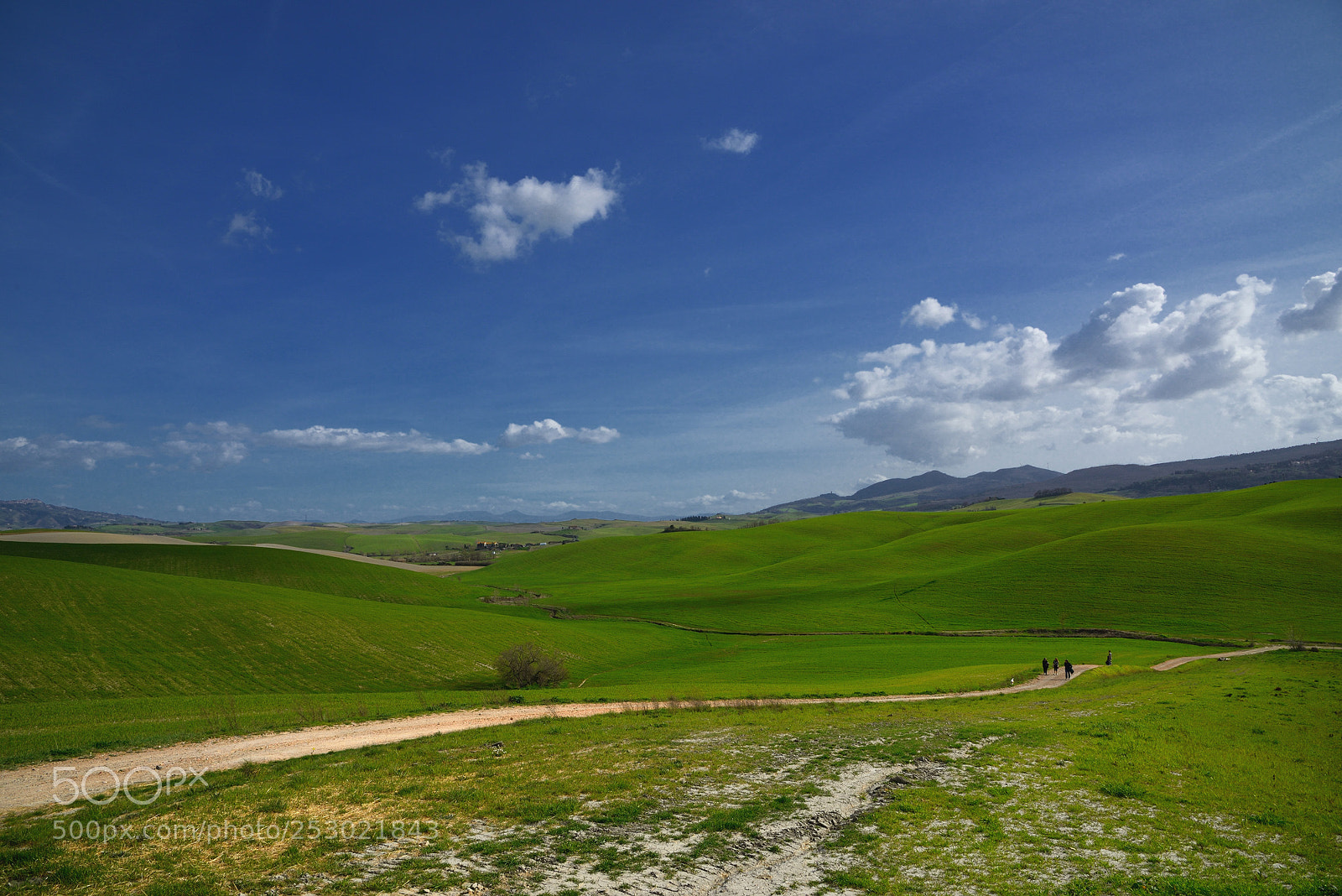 Nikon D800 sample photo. Gravel road toward happyness photography