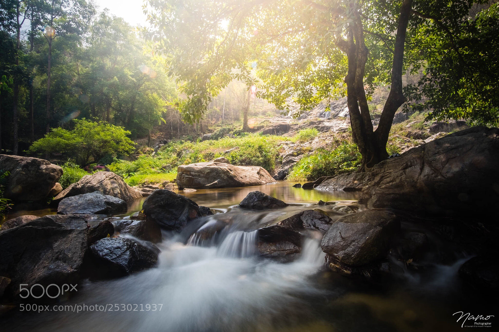 Fujifilm X-T10 sample photo. Nature photography