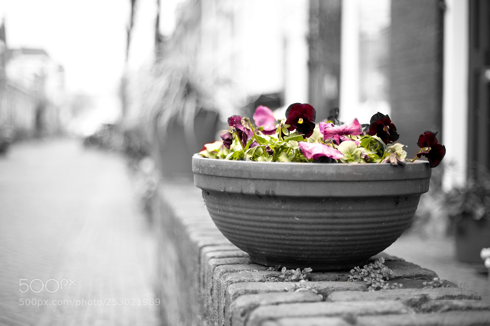 Canon EOS 5D sample photo. Hope photography