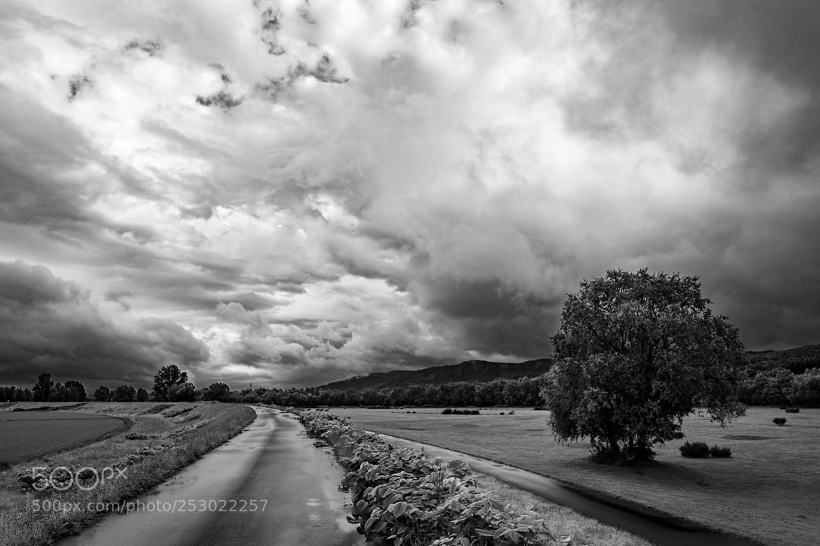 Fujifilm X-E2 sample photo. After the storm photography