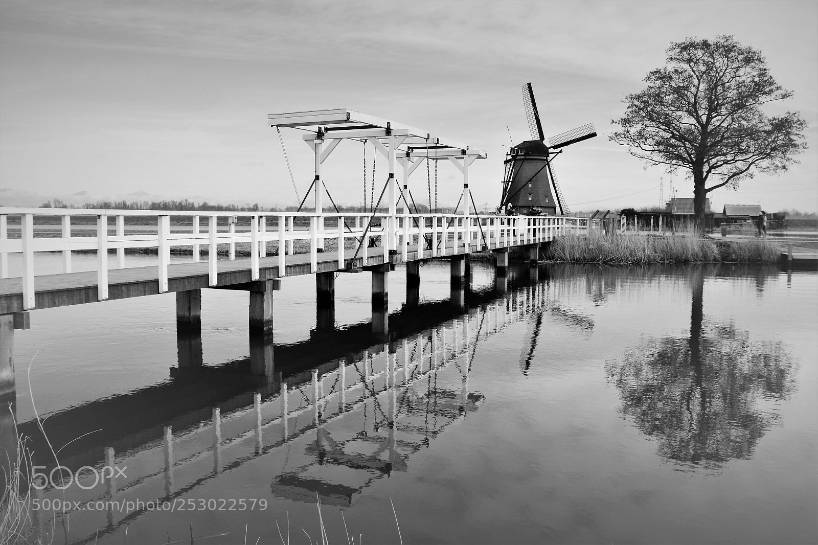 Nikon D7100 sample photo. Windmill in kinderdijk photography