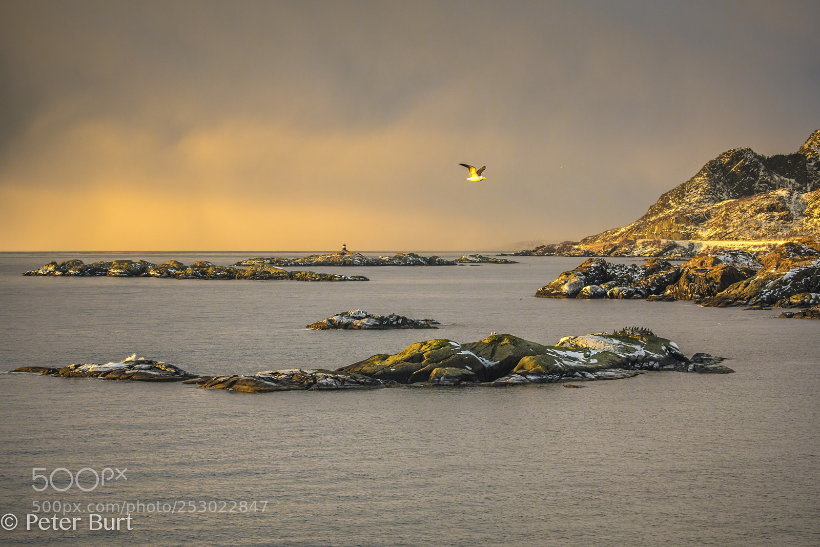 Canon EOS 5D Mark IV sample photo. Dusk at hamnoy photography