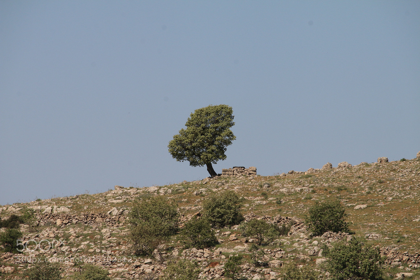 Canon EOS 70D sample photo. Mardin  photography