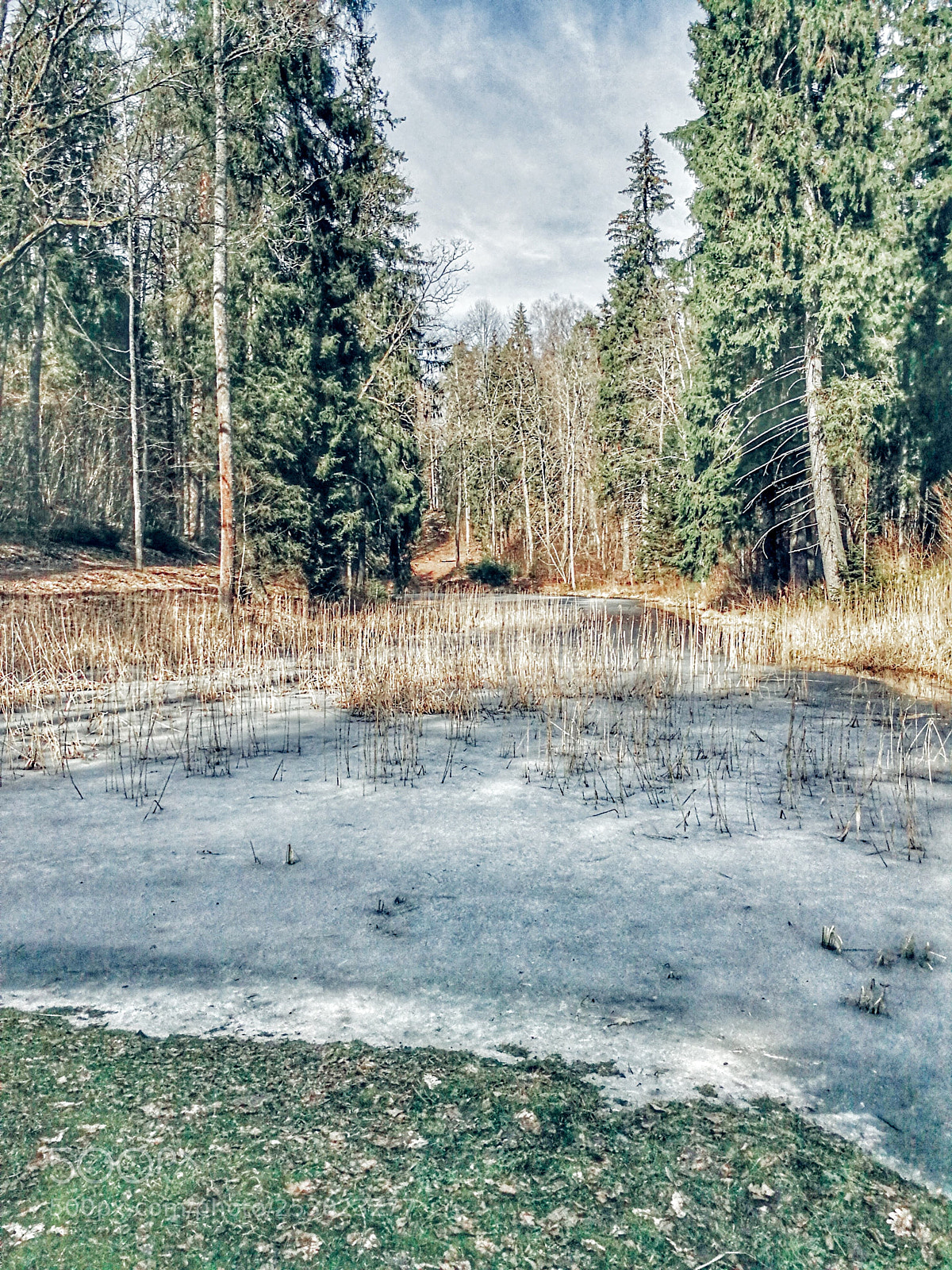 HUAWEI P10 sample photo. Spring photography