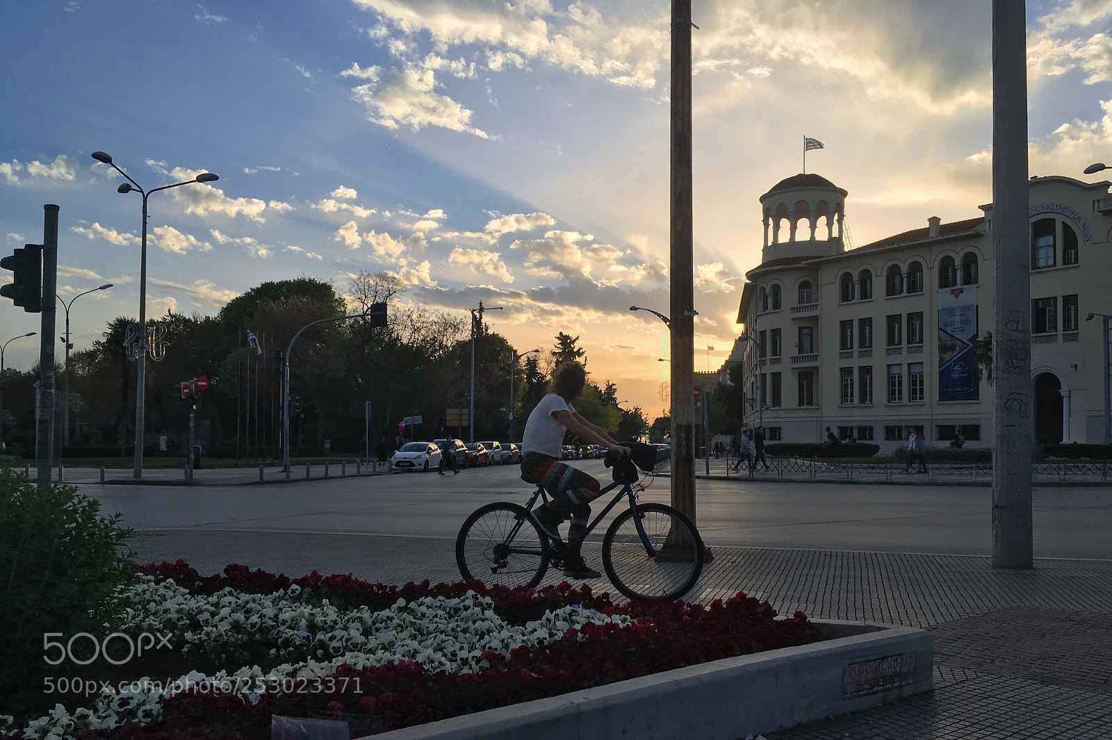 Apple iPhone SE sample photo. The perfect moment photography