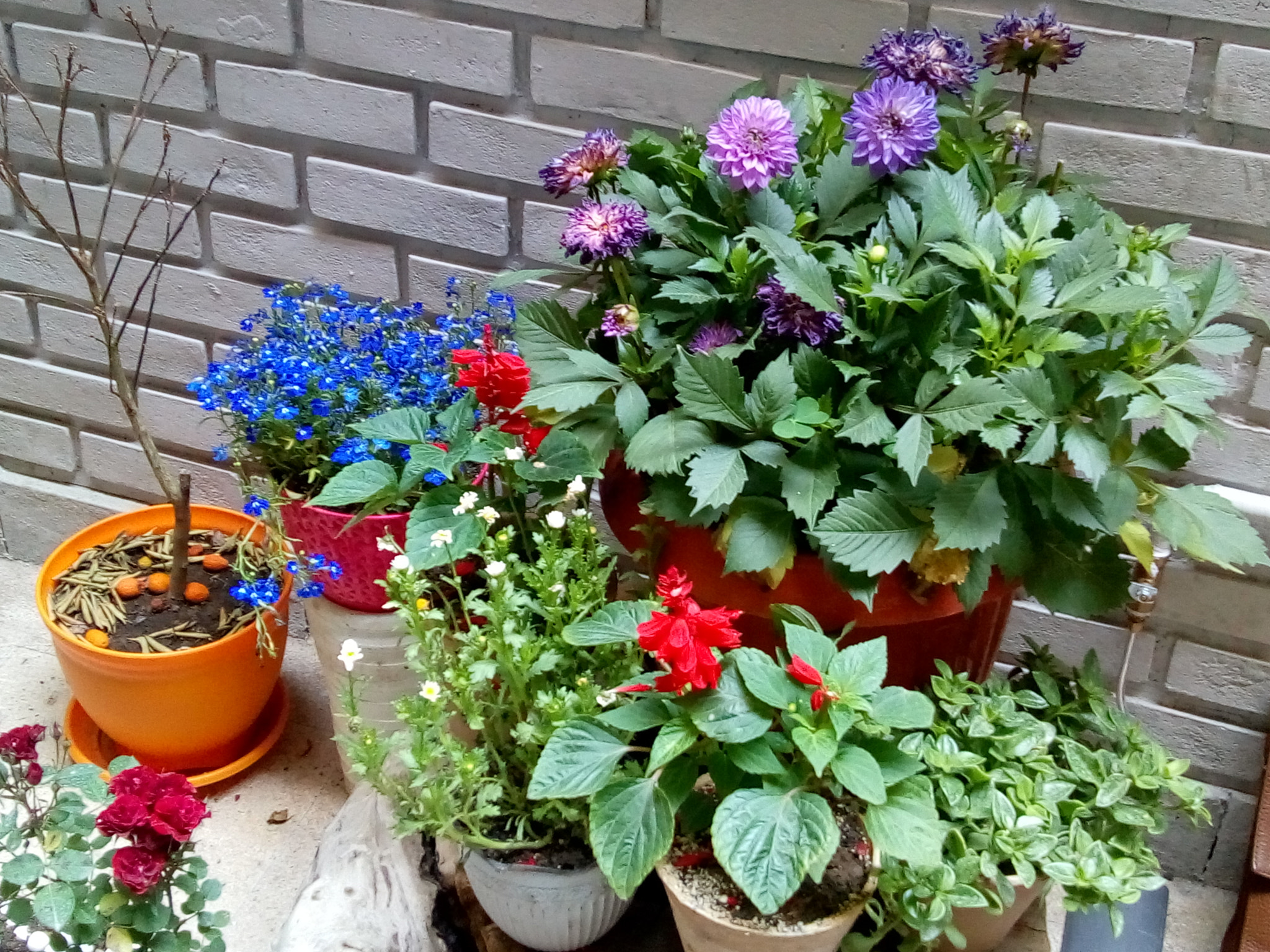 Motorola Moto C Plus sample photo. April photography