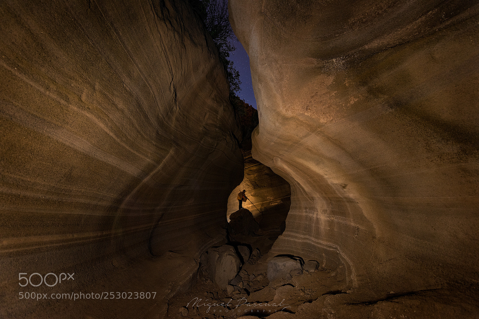 Nikon D810 sample photo. Cows canyon photography