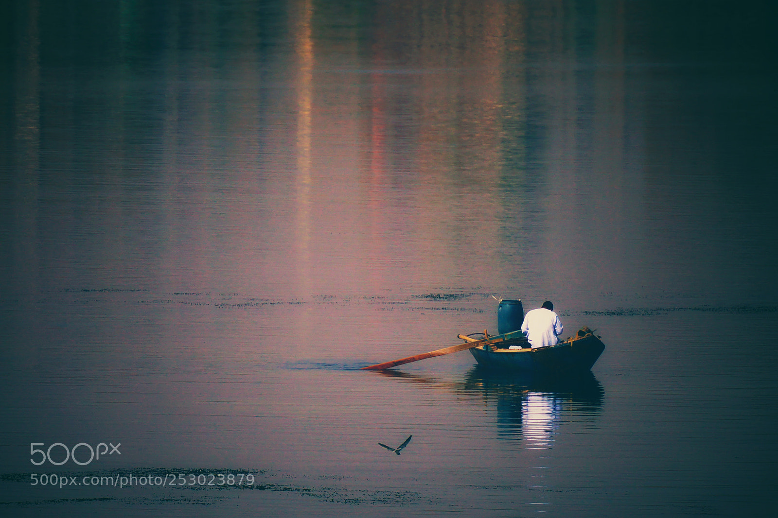 Sony SLT-A77 sample photo. Nile photography