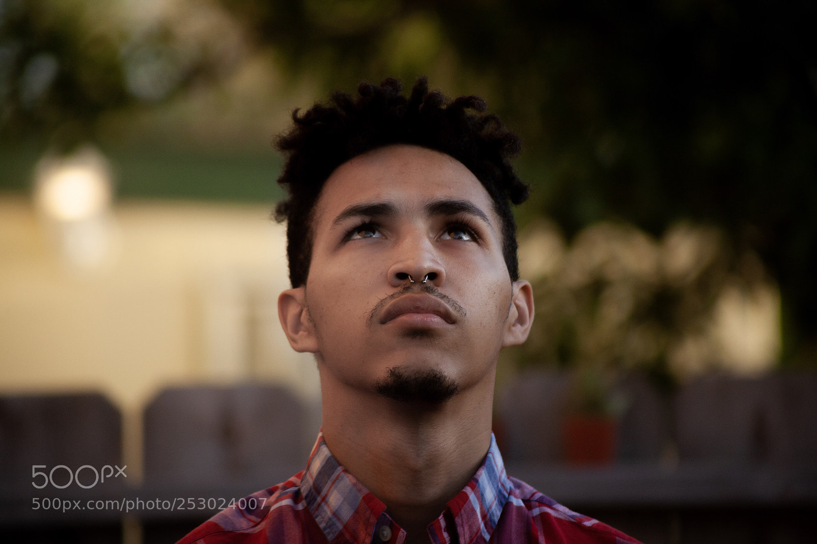 Canon EOS 5D sample photo. Something in the sky photography