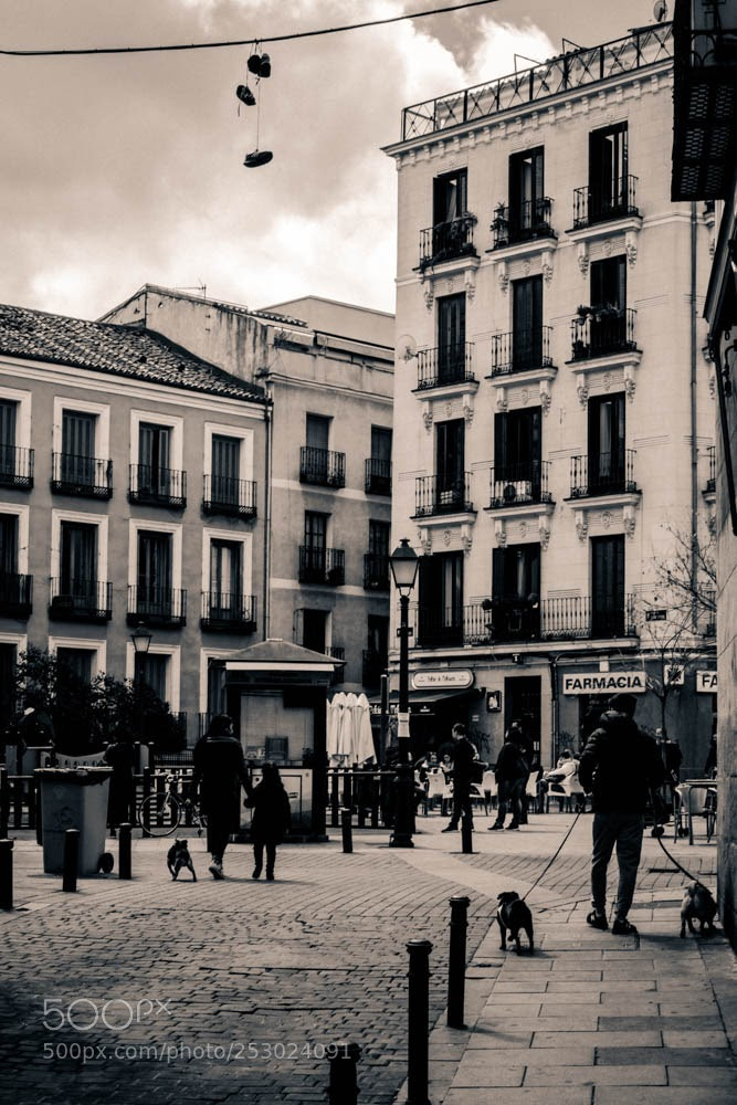 Canon EOS 1300D (EOS Rebel T6 / EOS Kiss X80) sample photo. Malasaña photography