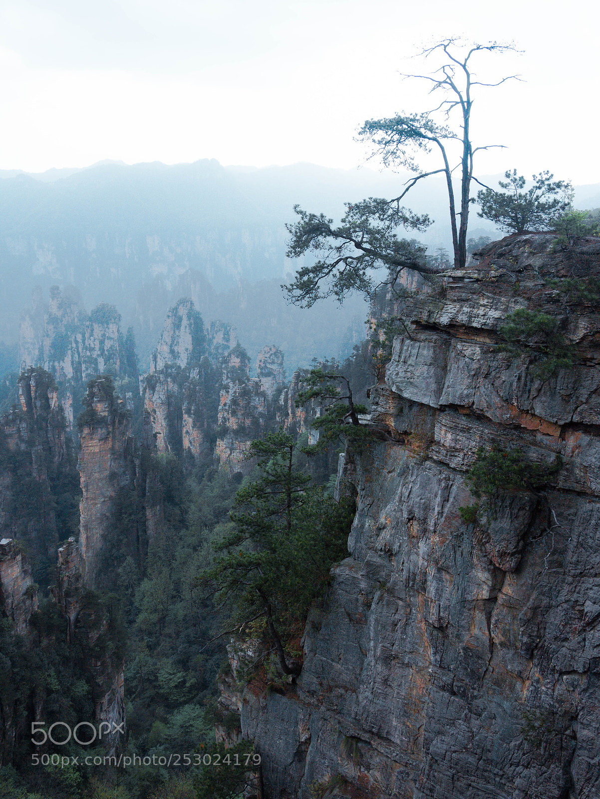 Canon EOS 70D sample photo. 武陵源 photography