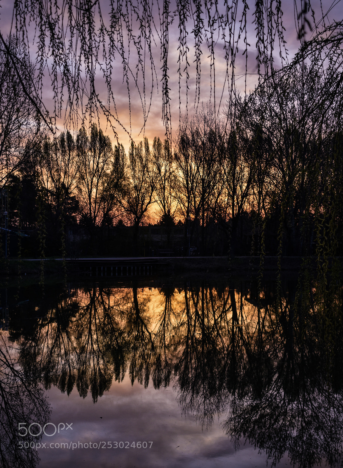 Nikon D3400 sample photo. Morning mirror photography