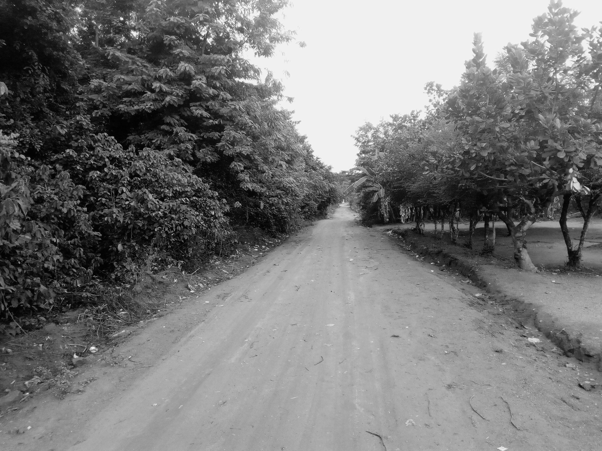 Infinix HOT5 Lite sample photo. Walkway photography