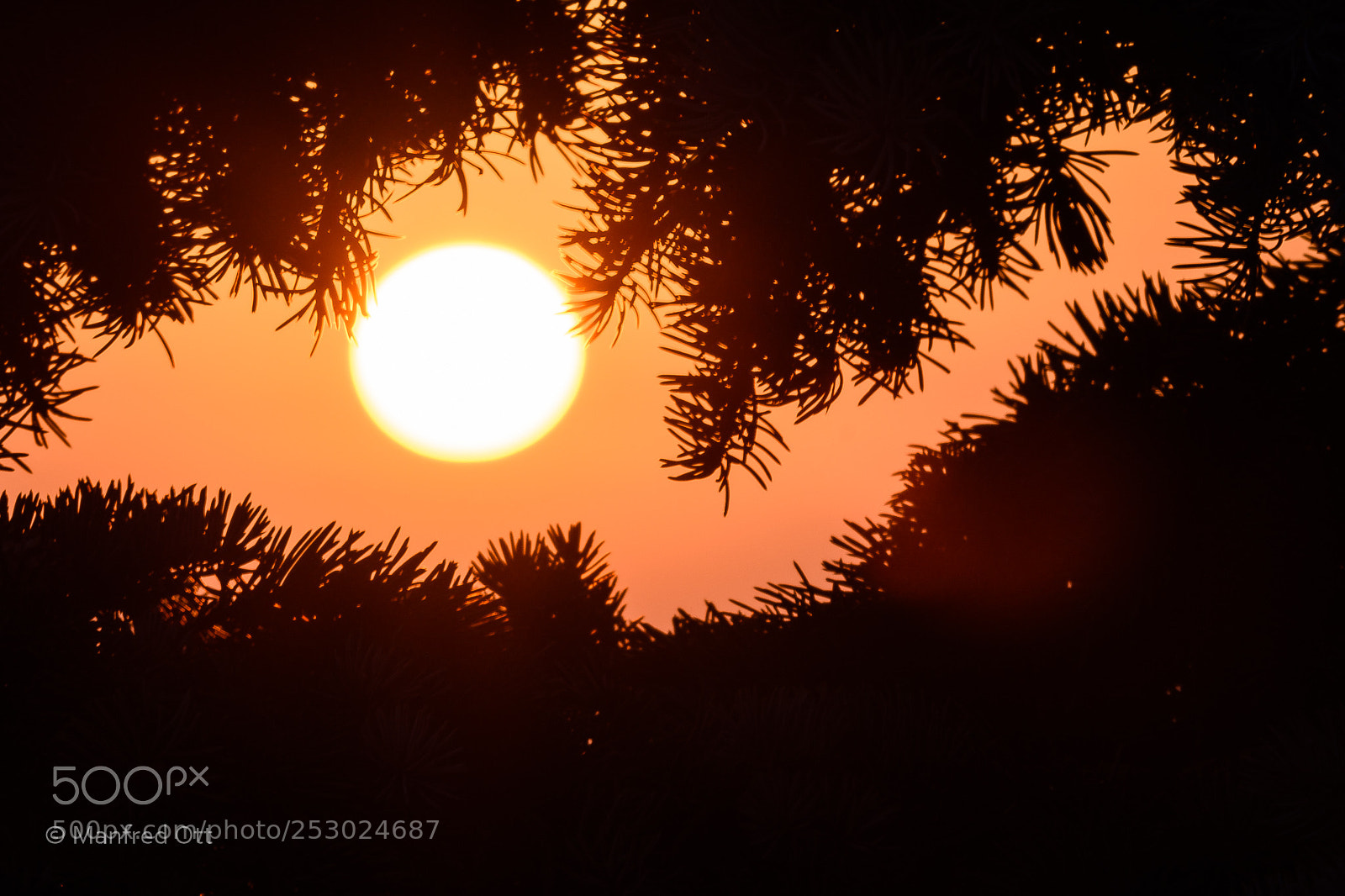 Nikon D7200 sample photo. Kurz nach sonnenaufgang photography