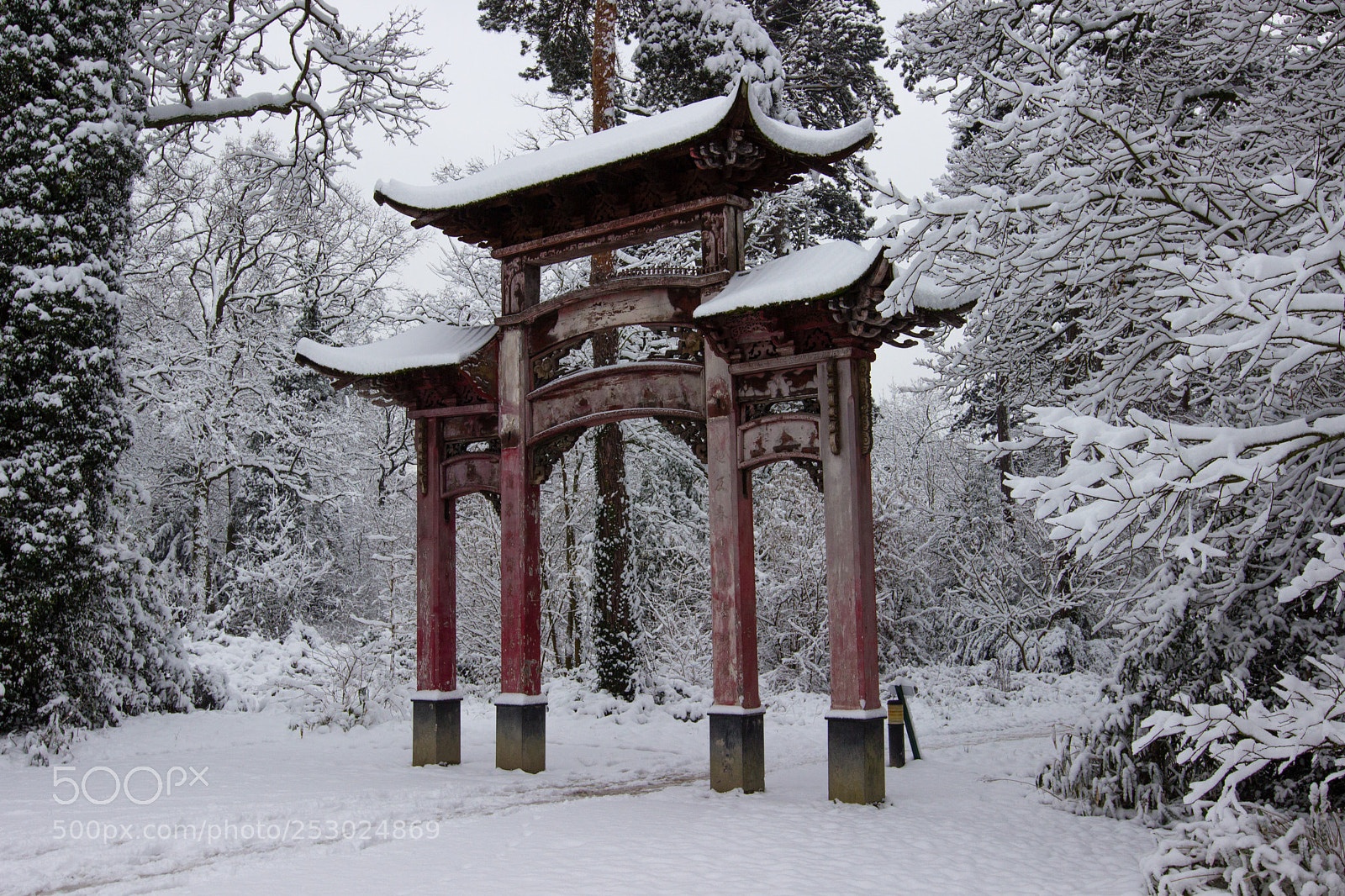 Canon EOS 600D (Rebel EOS T3i / EOS Kiss X5) sample photo. Sous la neige photography