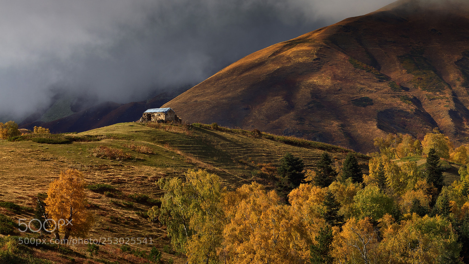 Canon EOS 50D sample photo. Golden autumn in svaneti photography