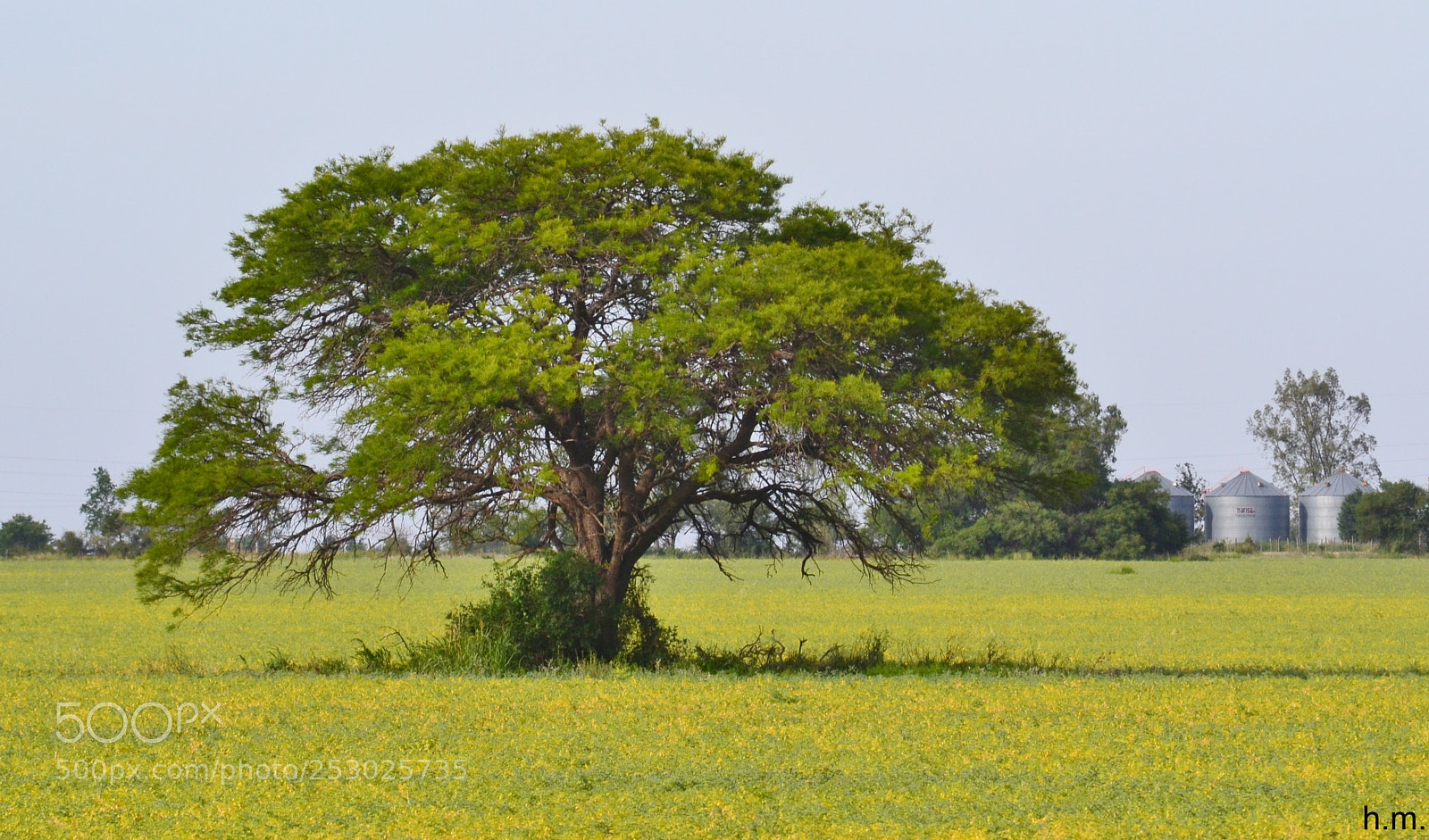 Nikon D3100 sample photo. Fo photography