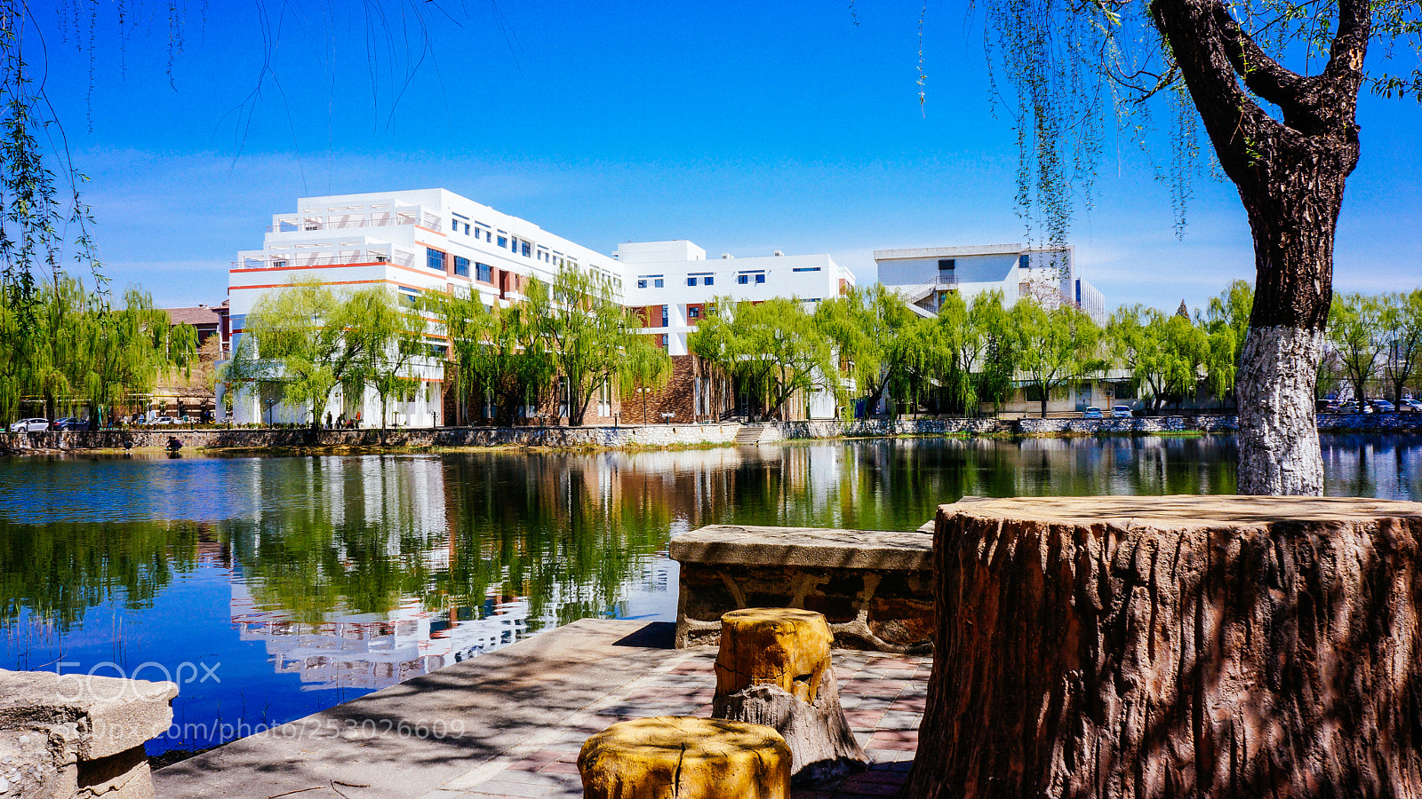 Sony Alpha NEX-7 sample photo. Peiyang university photography