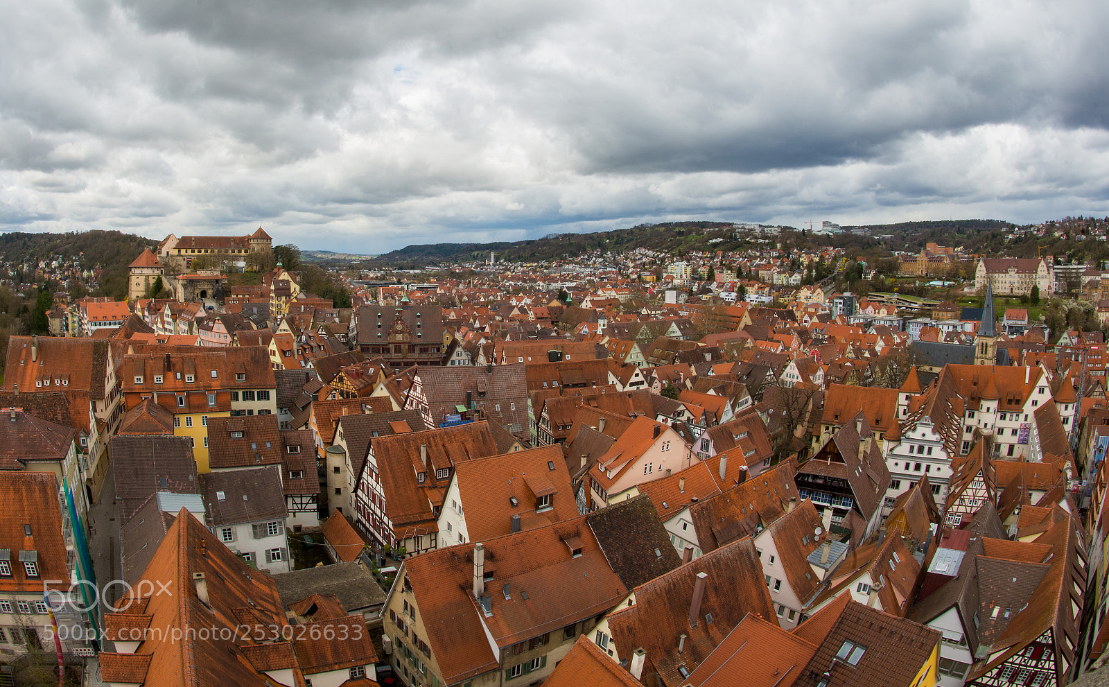 Nikon D600 sample photo. T bingen from the photography