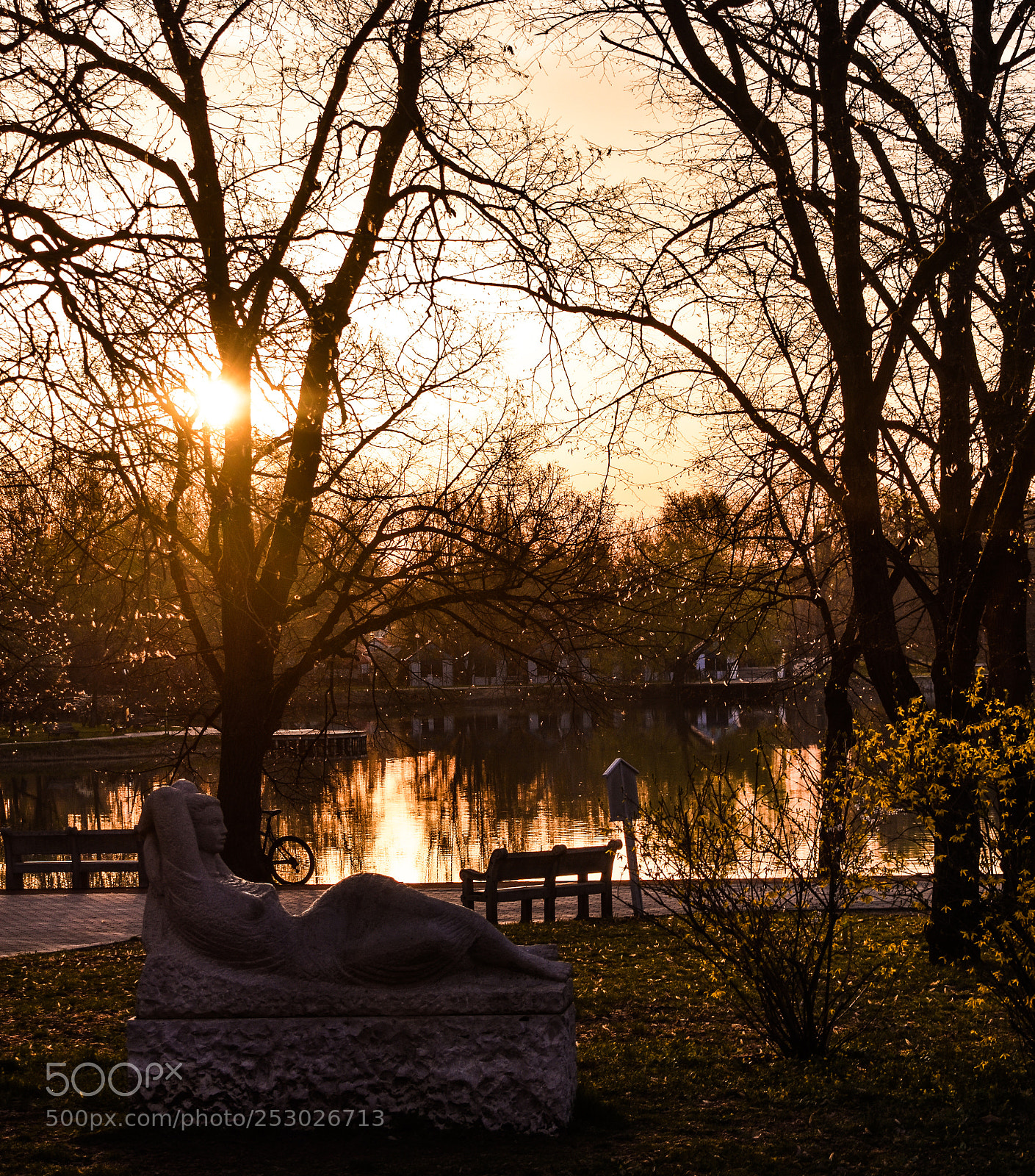 Nikon D3400 sample photo. Bathing in the morning photography