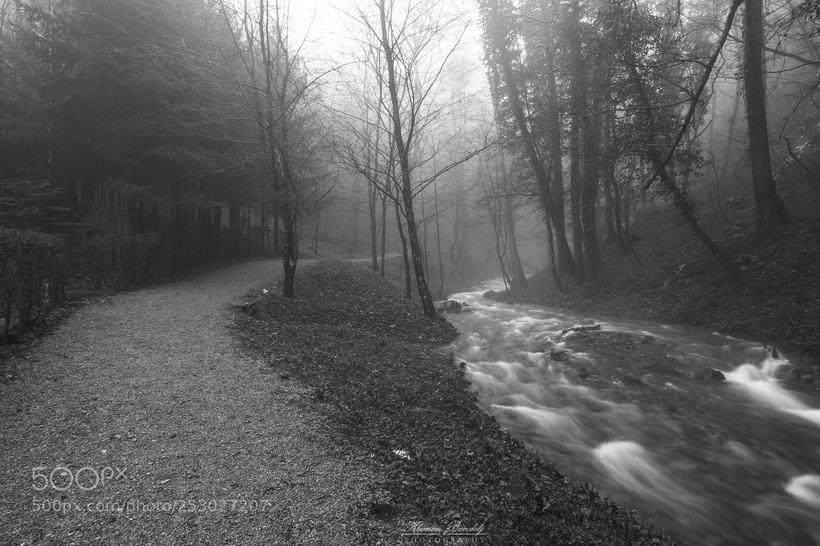 Nikon D7200 sample photo. The grey path photography