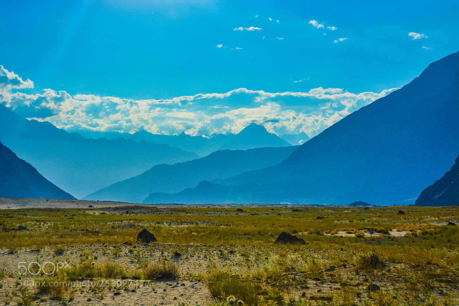 Nikon D5200 sample photo. 032.jpg photography
