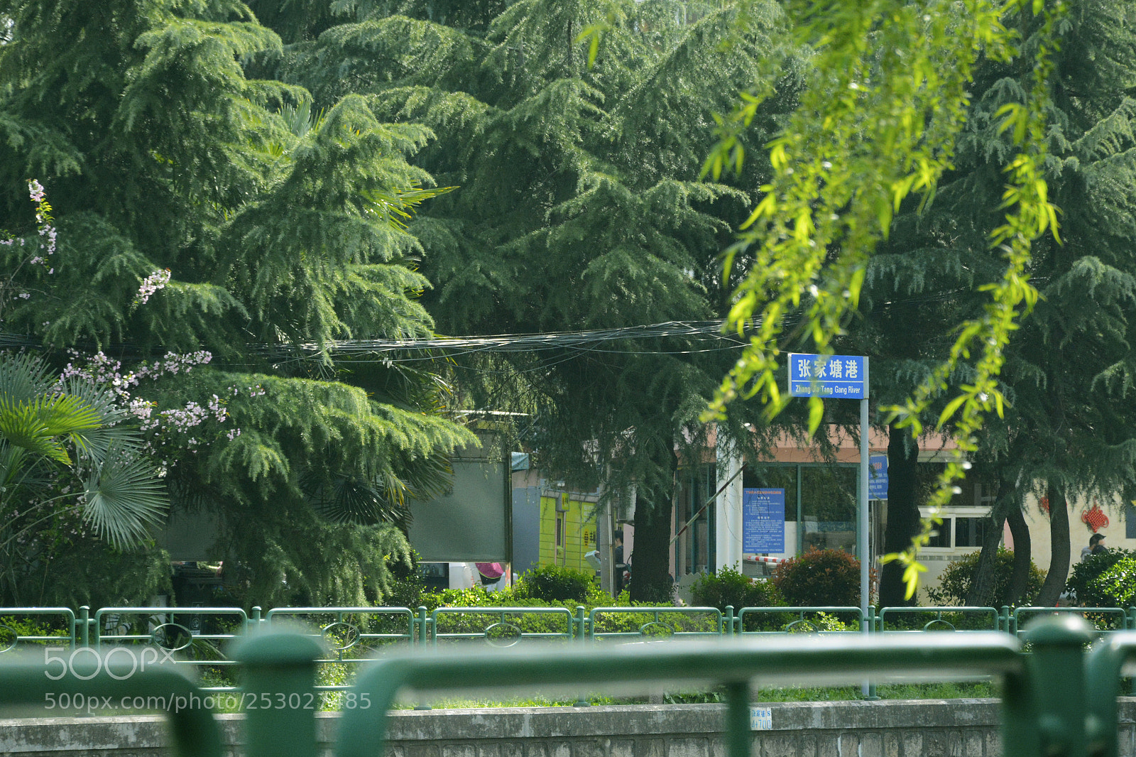 Nikon D7100 sample photo. Spring9 photography