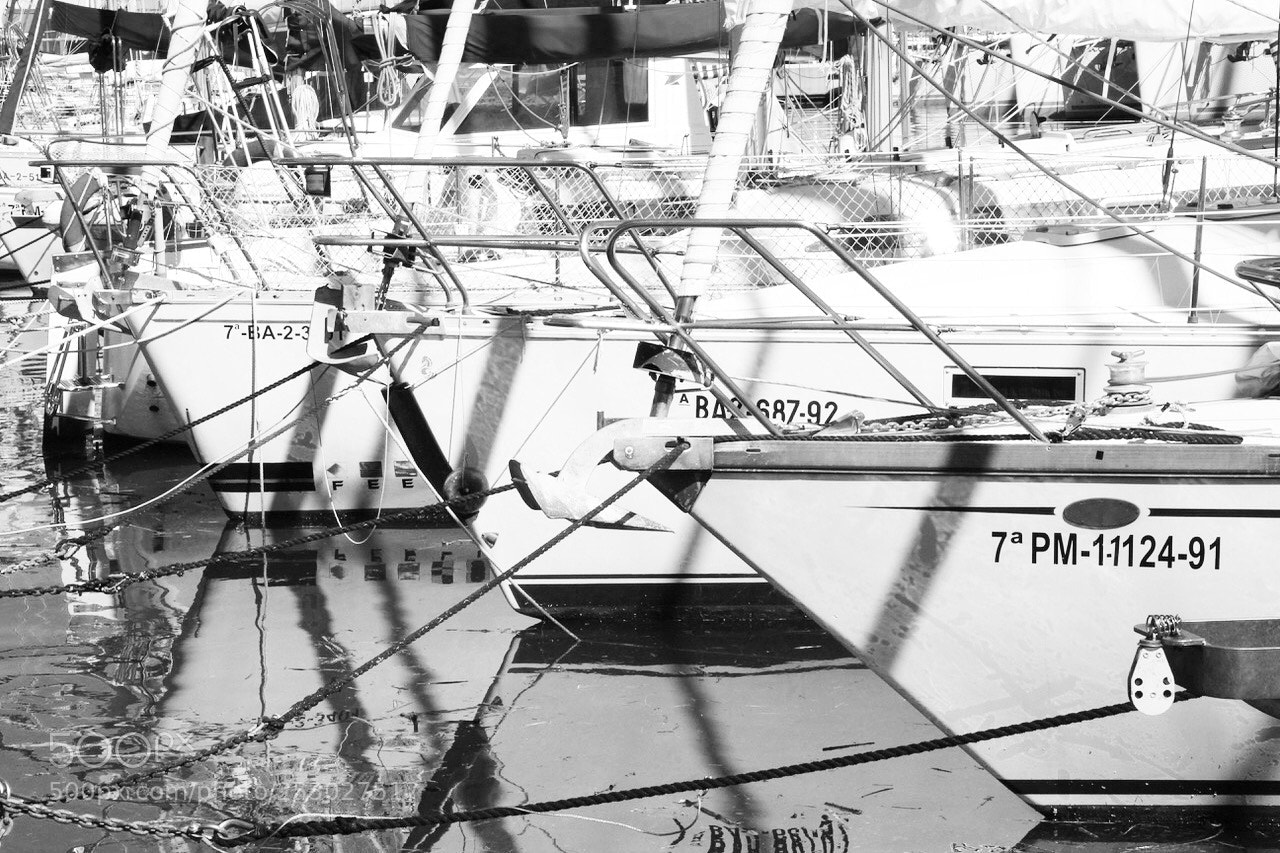Canon EOS 550D (EOS Rebel T2i / EOS Kiss X4) sample photo. Before sailing⛵️ photography