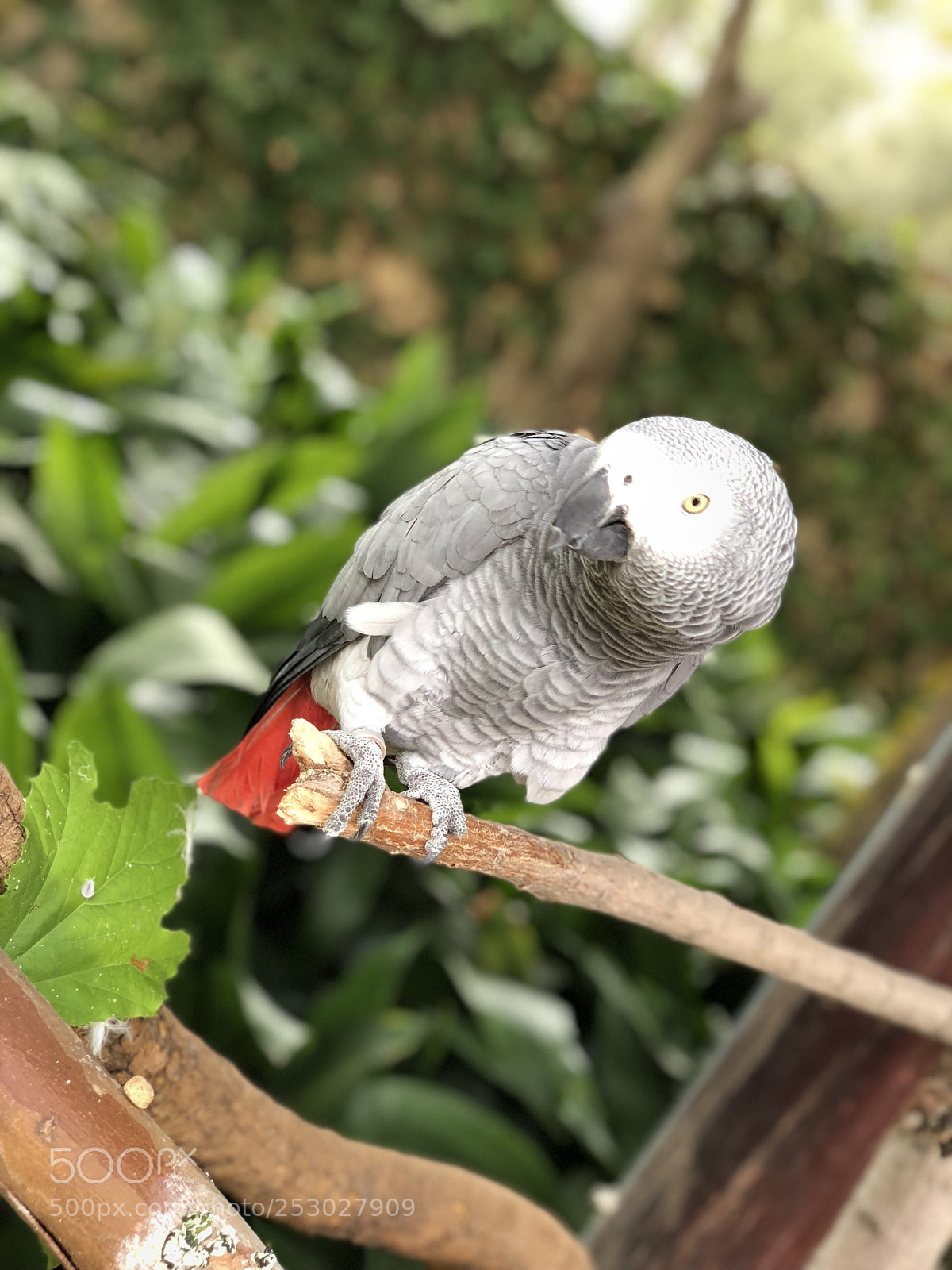Apple iPhone X sample photo. Untitled photography